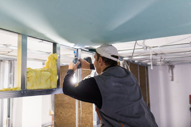 Best Specialized Insulation Services in Detroit Beach, MI