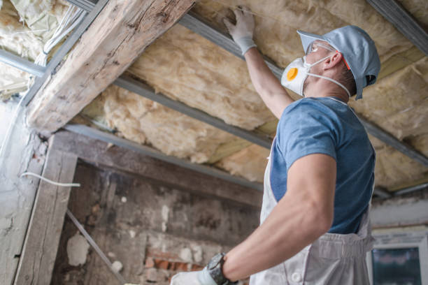 Trusted Detroit Beach, MI Insulation Contractor Experts