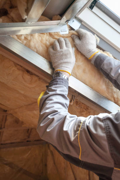 Best Cellulose Insulation in Detroit Beach, MI