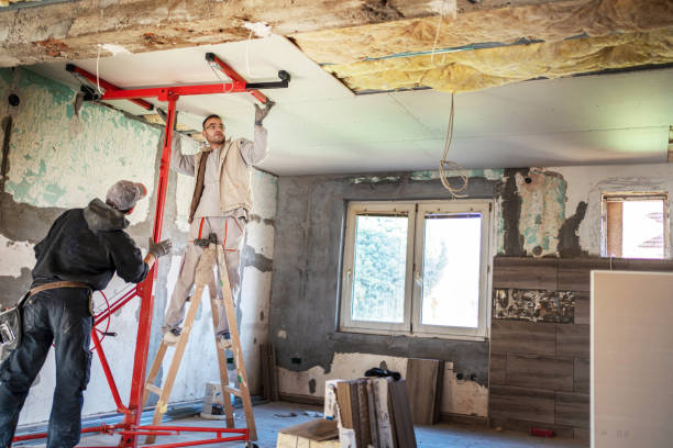 Best Residential Insulation in Detroit Beach, MI