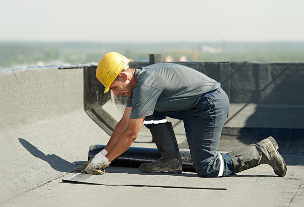 Best Spray Foam Insulation in Detroit Beach, MI