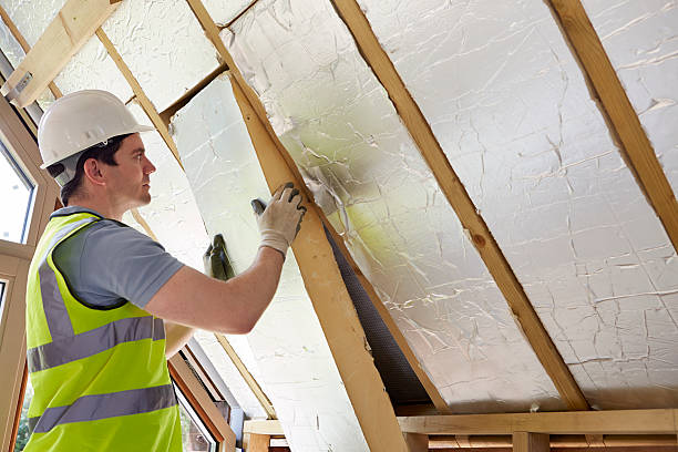 Best Spray Foam Insulation in Detroit Beach, MI