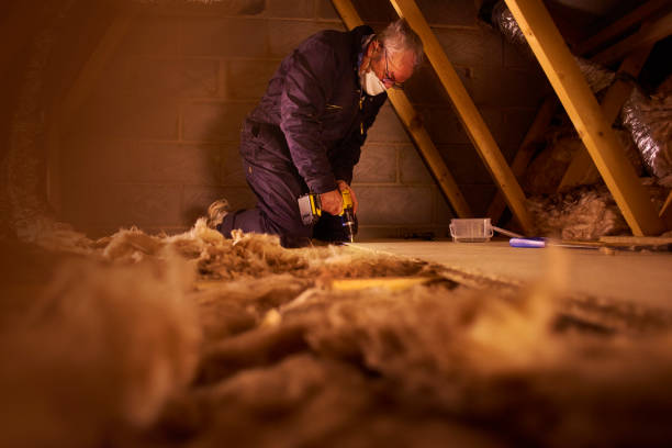 Best Blown-in Insulation in Detroit Beach, MI